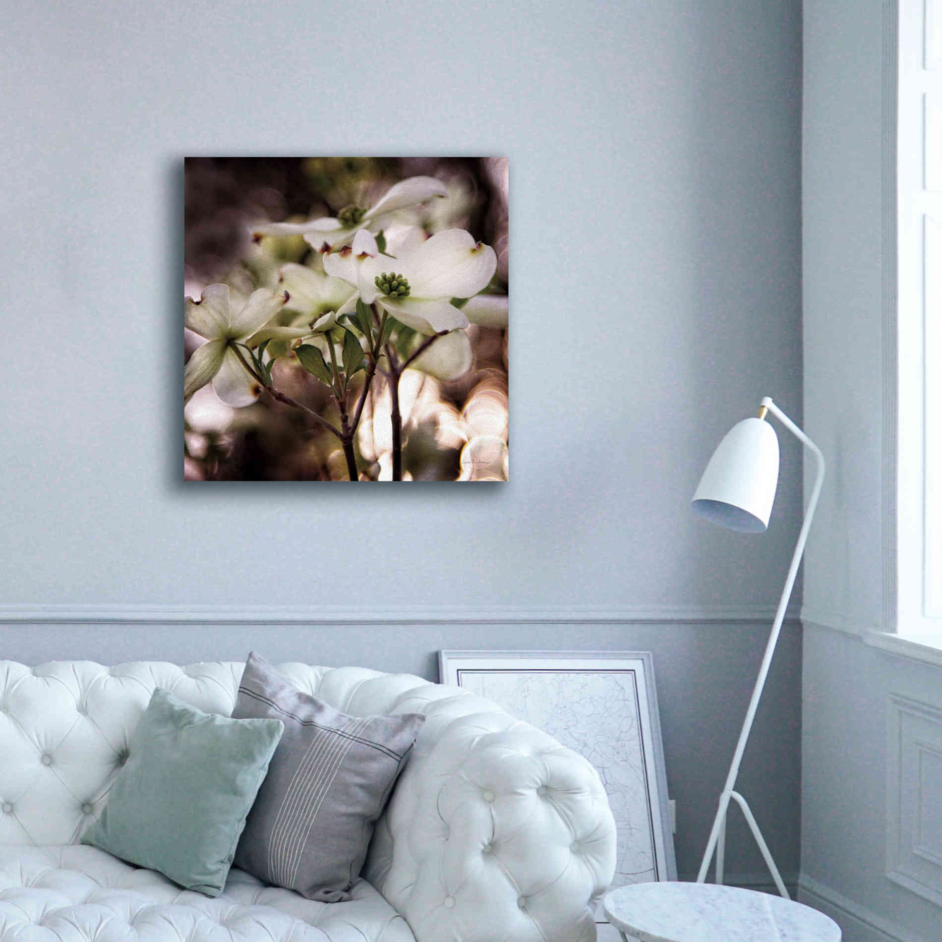 'White Dogwood II' by Debra Van Swearingen, Canvas Wall Art,37 x 37
