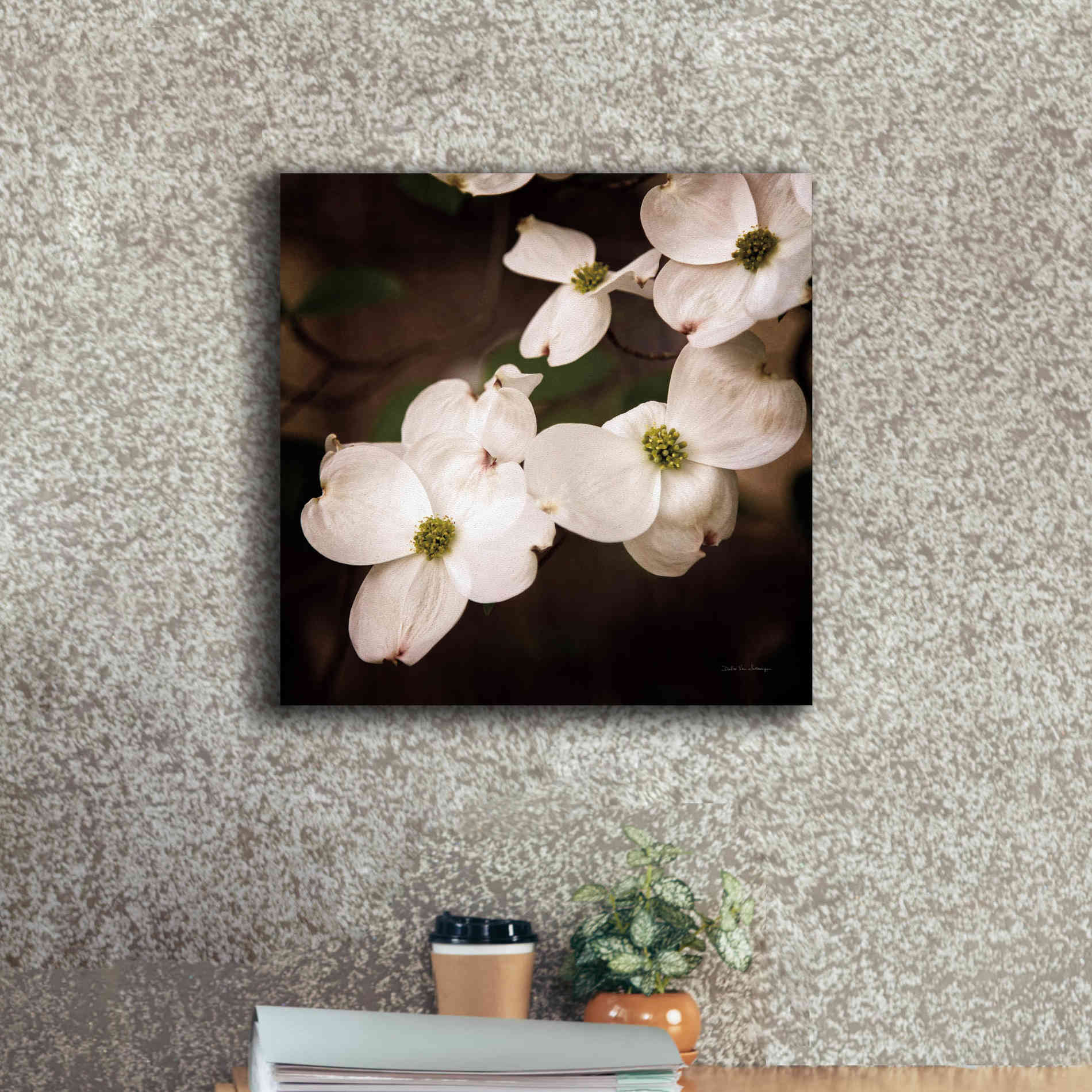 'White Dogwood III' by Debra Van Swearingen, Canvas Wall Art,18 x 18