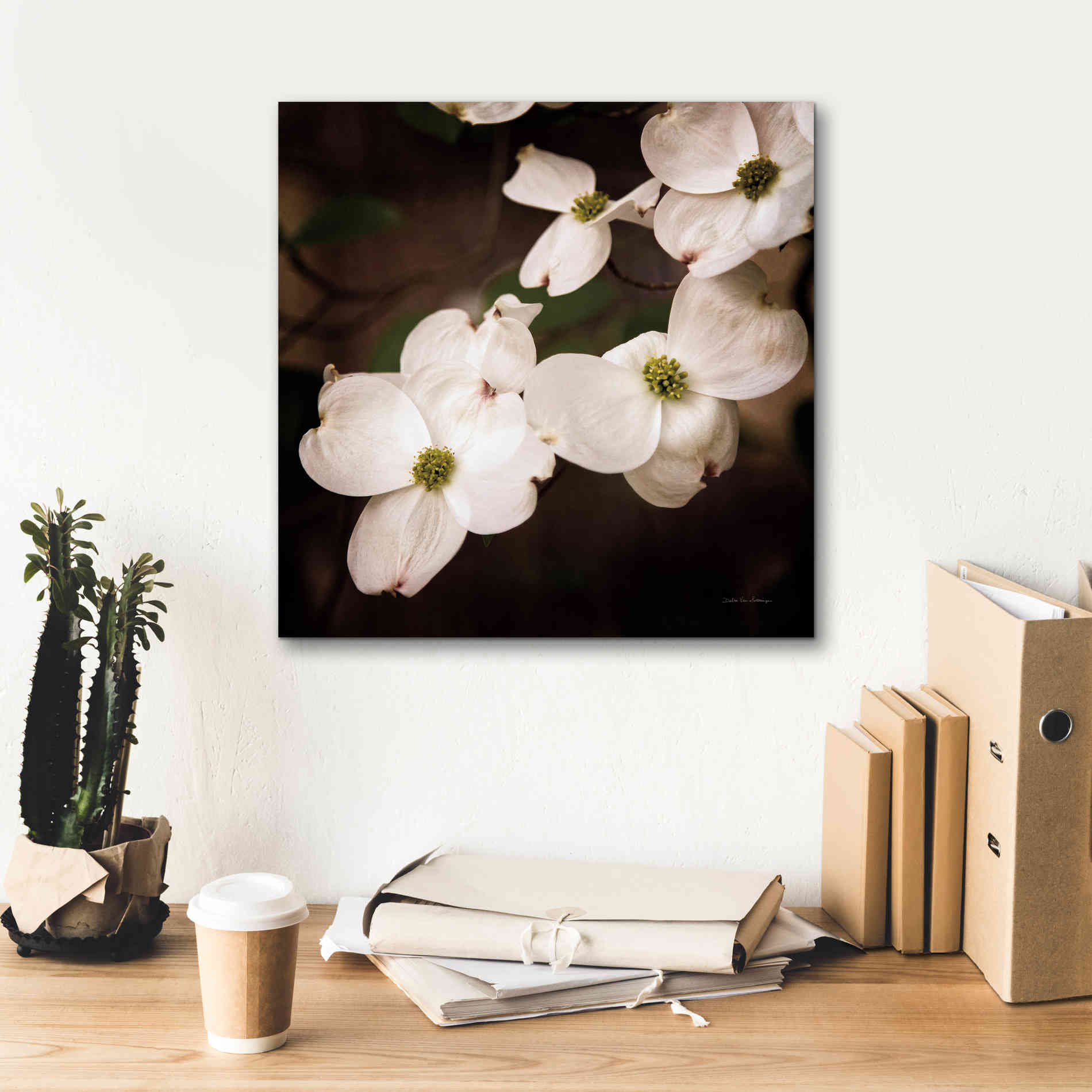 'White Dogwood III' by Debra Van Swearingen, Canvas Wall Art,18 x 18