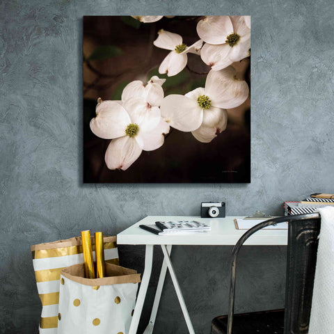 Image of 'White Dogwood III' by Debra Van Swearingen, Canvas Wall Art,26 x 26