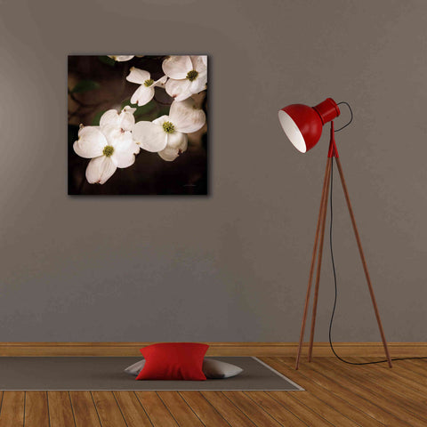 Image of 'White Dogwood III' by Debra Van Swearingen, Canvas Wall Art,26 x 26