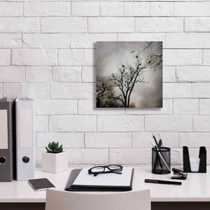 'The Heron Rookery' by Debra Van Swearingen, Canvas Wall Art,12 x 12