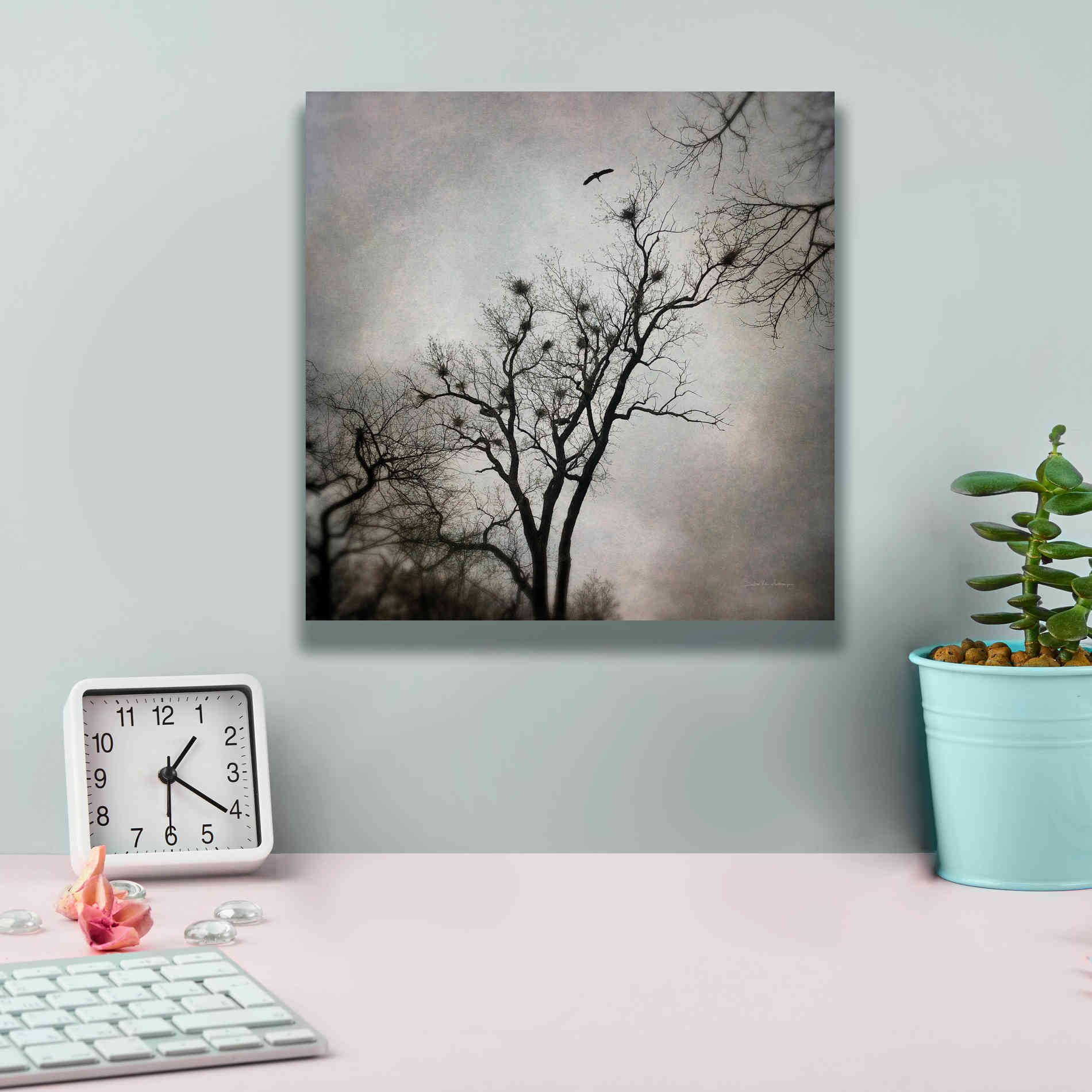 'The Heron Rookery' by Debra Van Swearingen, Canvas Wall Art,12 x 12