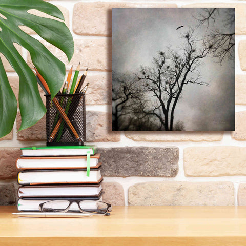 Image of 'The Heron Rookery' by Debra Van Swearingen, Canvas Wall Art,12 x 12