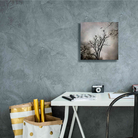 Image of 'The Heron Rookery' by Debra Van Swearingen, Canvas Wall Art,12 x 12