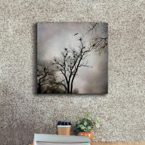 Image of 'The Heron Rookery' by Debra Van Swearingen, Canvas Wall Art,18 x 18