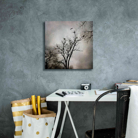 Image of 'The Heron Rookery' by Debra Van Swearingen, Canvas Wall Art,18 x 18