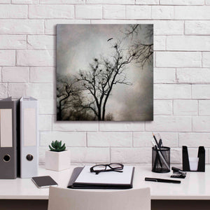 'The Heron Rookery' by Debra Van Swearingen, Canvas Wall Art,18 x 18