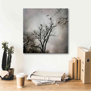 'The Heron Rookery' by Debra Van Swearingen, Canvas Wall Art,18 x 18