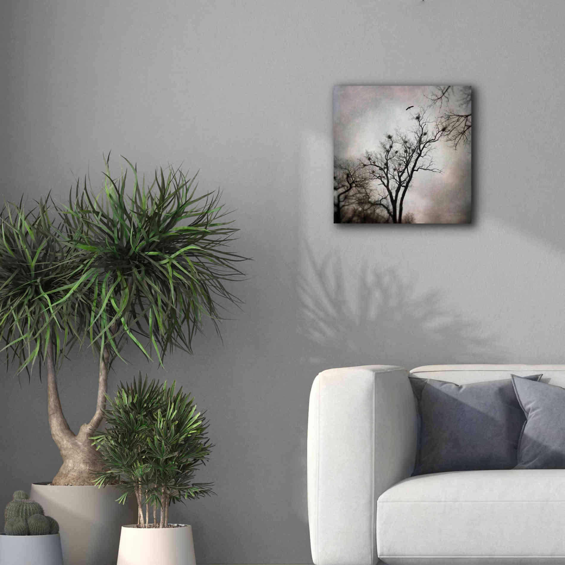 'The Heron Rookery' by Debra Van Swearingen, Canvas Wall Art,18 x 18