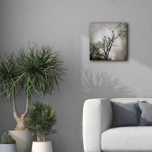 'The Heron Rookery' by Debra Van Swearingen, Canvas Wall Art,18 x 18