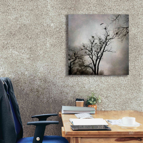 Image of 'The Heron Rookery' by Debra Van Swearingen, Canvas Wall Art,26 x 26