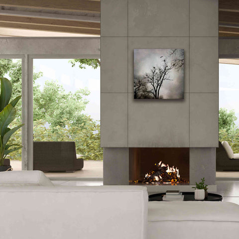 Image of 'The Heron Rookery' by Debra Van Swearingen, Canvas Wall Art,26 x 26