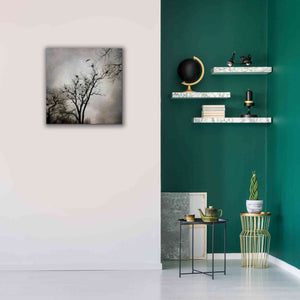 'The Heron Rookery' by Debra Van Swearingen, Canvas Wall Art,26 x 26