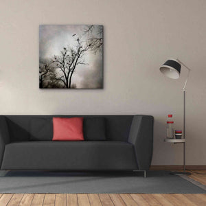 'The Heron Rookery' by Debra Van Swearingen, Canvas Wall Art,37 x 37