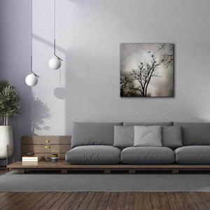 'The Heron Rookery' by Debra Van Swearingen, Canvas Wall Art,37 x 37