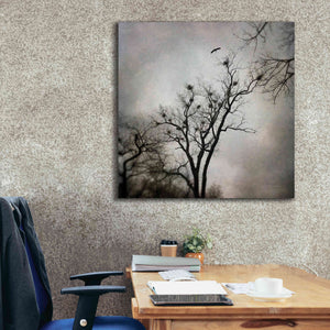'The Heron Rookery' by Debra Van Swearingen, Canvas Wall Art,37 x 37