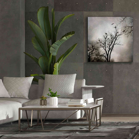 Image of 'The Heron Rookery' by Debra Van Swearingen, Canvas Wall Art,37 x 37