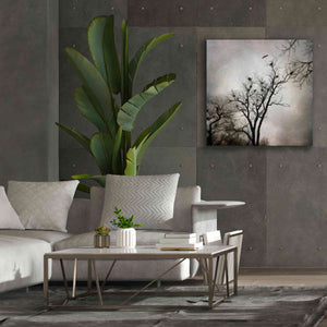 'The Heron Rookery' by Debra Van Swearingen, Canvas Wall Art,37 x 37