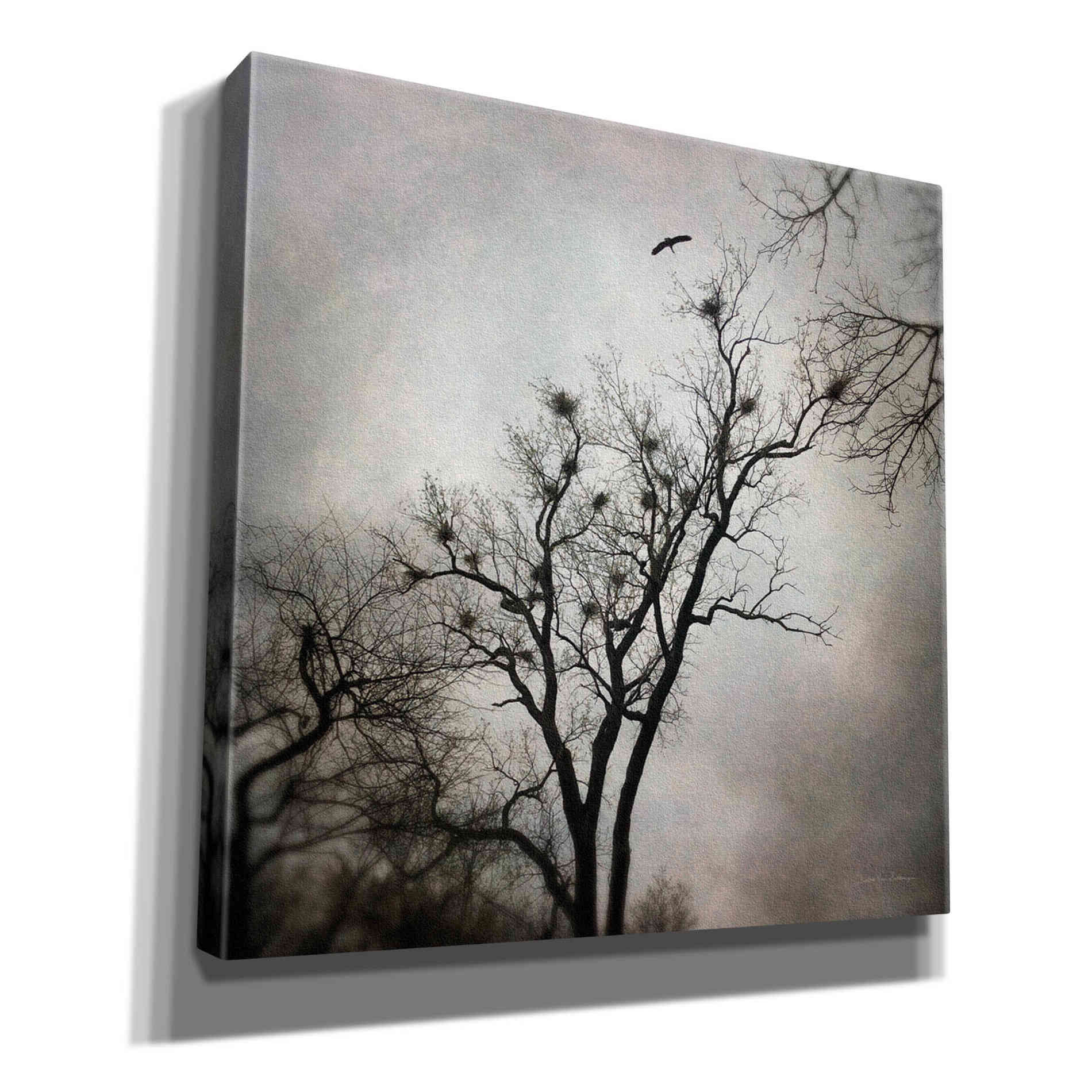 'The Heron Rookery' by Debra Van Swearingen, Canvas Wall Art,12x12x1.1x0,18x18x1.1x0,26x26x1.74x0,37x37x1.74x0