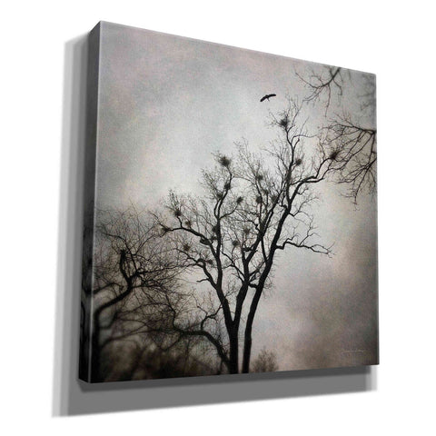 Image of 'The Heron Rookery' by Debra Van Swearingen, Canvas Wall Art,12x12x1.1x0,18x18x1.1x0,26x26x1.74x0,37x37x1.74x0
