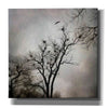 'The Heron Rookery' by Debra Van Swearingen, Canvas Wall Art,12x12x1.1x0,18x18x1.1x0,26x26x1.74x0,37x37x1.74x0