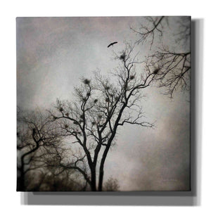 'The Heron Rookery' by Debra Van Swearingen, Canvas Wall Art,12x12x1.1x0,18x18x1.1x0,26x26x1.74x0,37x37x1.74x0