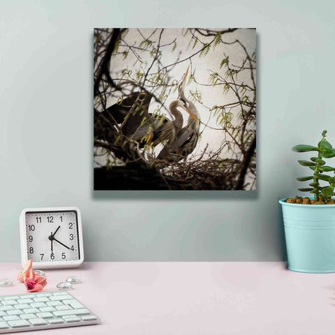 Image of 'Connection' by Debra Van Swearingen, Canvas Wall Art,12 x 12