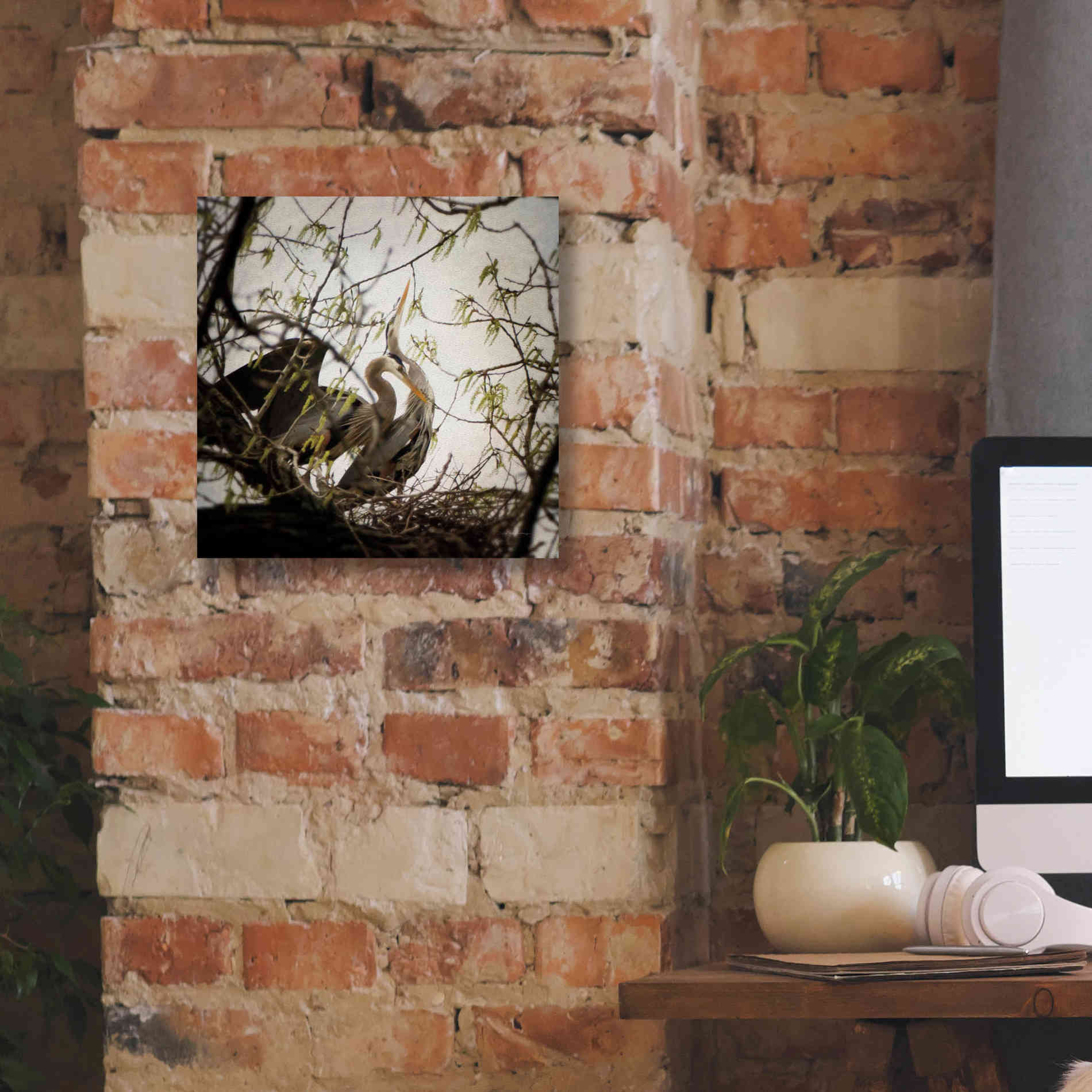'Connection' by Debra Van Swearingen, Canvas Wall Art,12 x 12