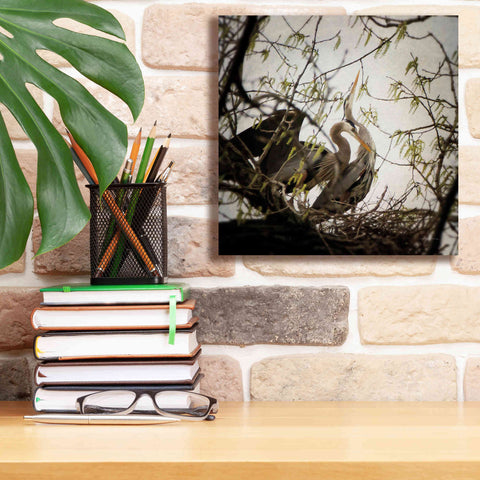 Image of 'Connection' by Debra Van Swearingen, Canvas Wall Art,12 x 12