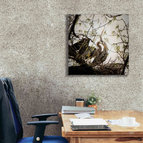 Image of 'Connection' by Debra Van Swearingen, Canvas Wall Art,26 x 26