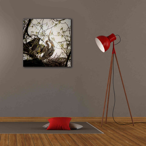 Image of 'Connection' by Debra Van Swearingen, Canvas Wall Art,26 x 26