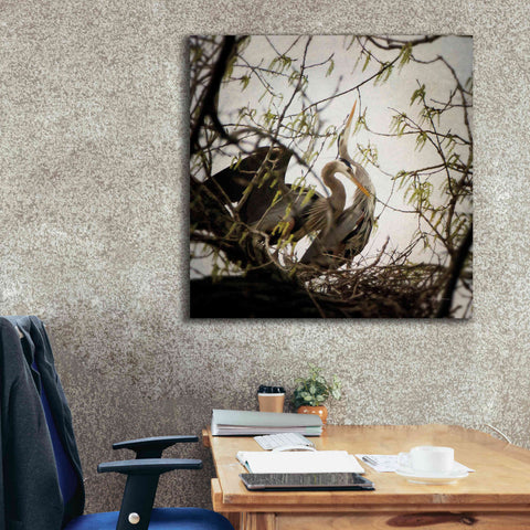 Image of 'Connection' by Debra Van Swearingen, Canvas Wall Art,37 x 37