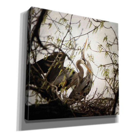 Image of 'Connection' by Debra Van Swearingen, Canvas Wall Art,12x12x1.1x0,18x18x1.1x0,26x26x1.74x0,37x37x1.74x0