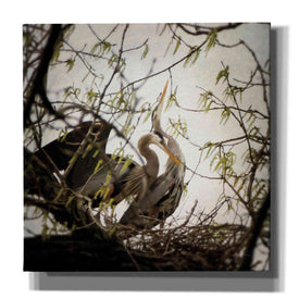 'Connection' by Debra Van Swearingen, Canvas Wall Art,12x12x1.1x0,18x18x1.1x0,26x26x1.74x0,37x37x1.74x0