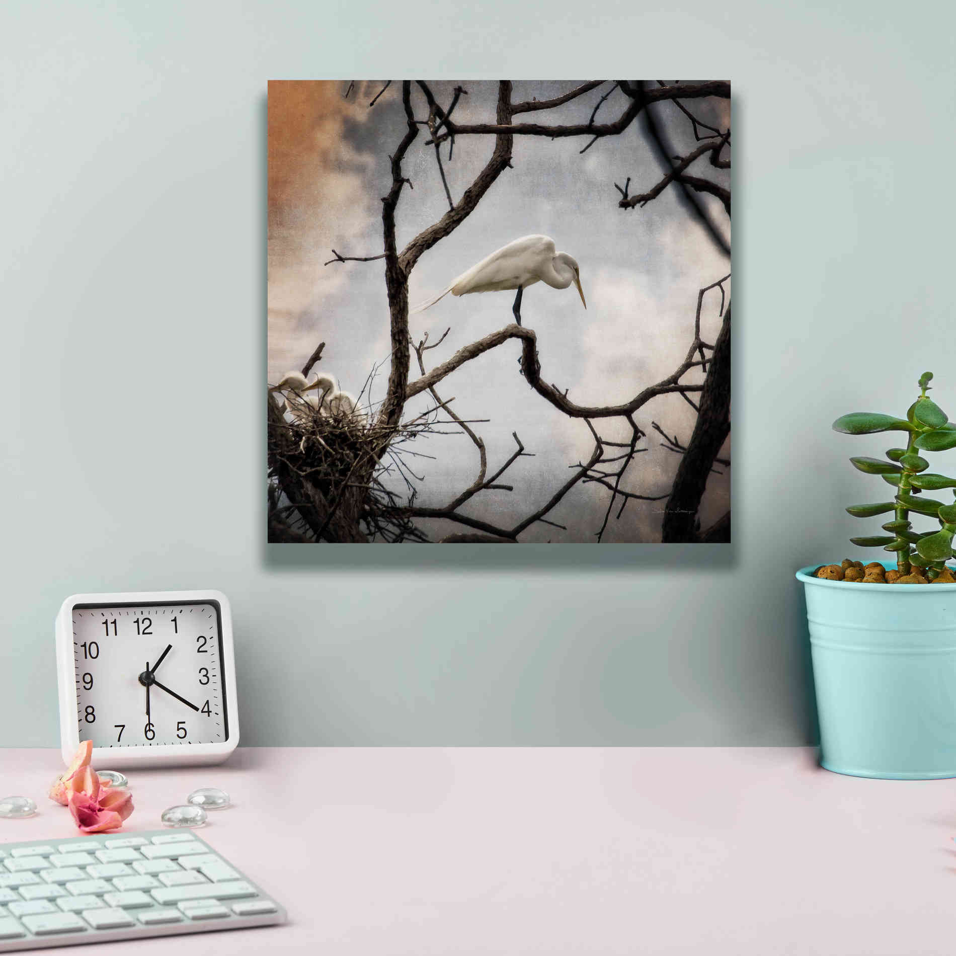 'Respite' by Debra Van Swearingen, Canvas Wall Art,12 x 12