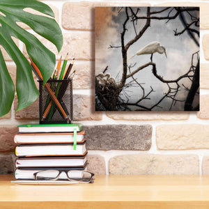 'Respite' by Debra Van Swearingen, Canvas Wall Art,12 x 12