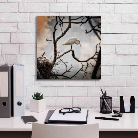 Image of 'Respite' by Debra Van Swearingen, Canvas Wall Art,18 x 18