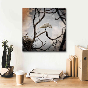 'Respite' by Debra Van Swearingen, Canvas Wall Art,18 x 18