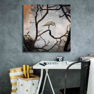 'Respite' by Debra Van Swearingen, Canvas Wall Art,26 x 26
