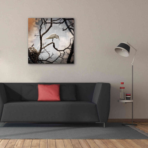 Image of 'Respite' by Debra Van Swearingen, Canvas Wall Art,37 x 37