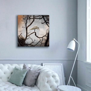 'Respite' by Debra Van Swearingen, Canvas Wall Art,37 x 37