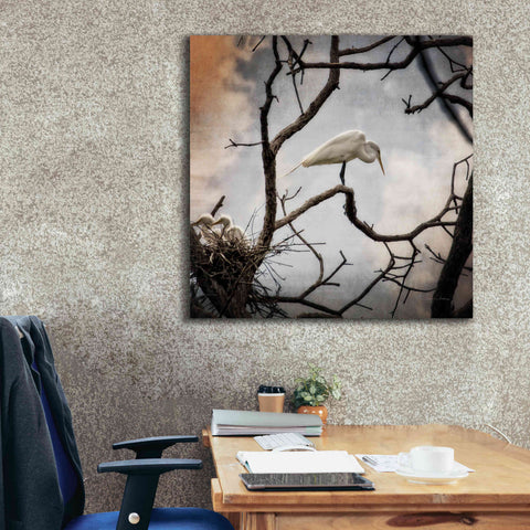 Image of 'Respite' by Debra Van Swearingen, Canvas Wall Art,37 x 37