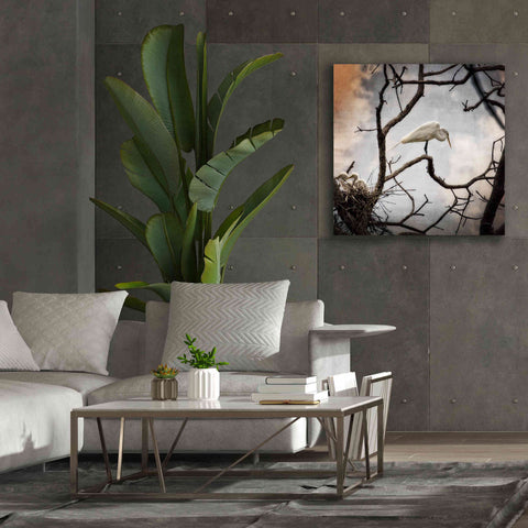 Image of 'Respite' by Debra Van Swearingen, Canvas Wall Art,37 x 37