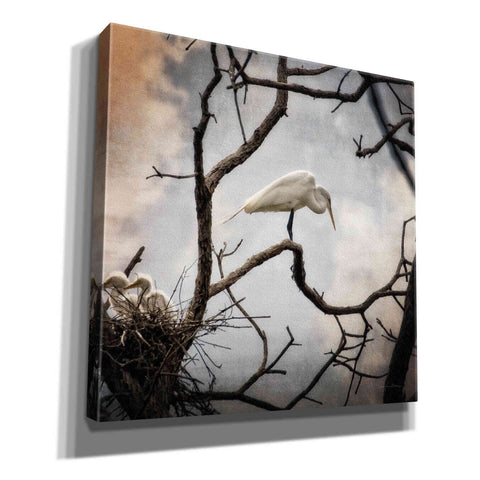 Image of 'Respite' by Debra Van Swearingen, Canvas Wall Art,12x12x1.1x0,18x18x1.1x0,26x26x1.74x0,37x37x1.74x0