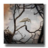 'Respite' by Debra Van Swearingen, Canvas Wall Art,12x12x1.1x0,18x18x1.1x0,26x26x1.74x0,37x37x1.74x0