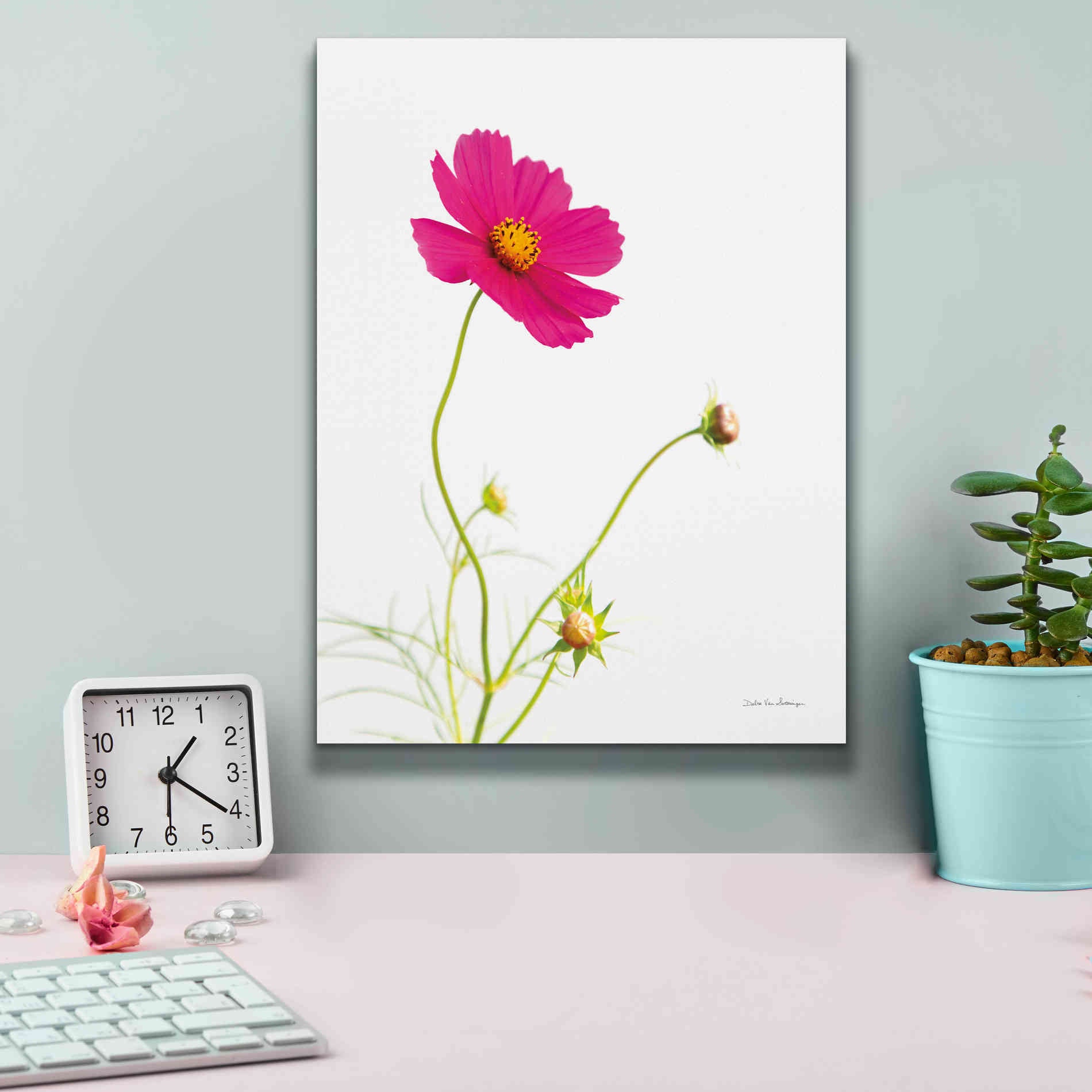 'Magenta Cosmos I' by Debra Van Swearingen, Canvas Wall Art,12 x 16