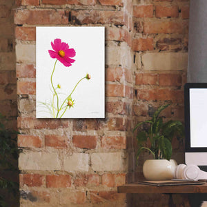 'Magenta Cosmos I' by Debra Van Swearingen, Canvas Wall Art,12 x 16
