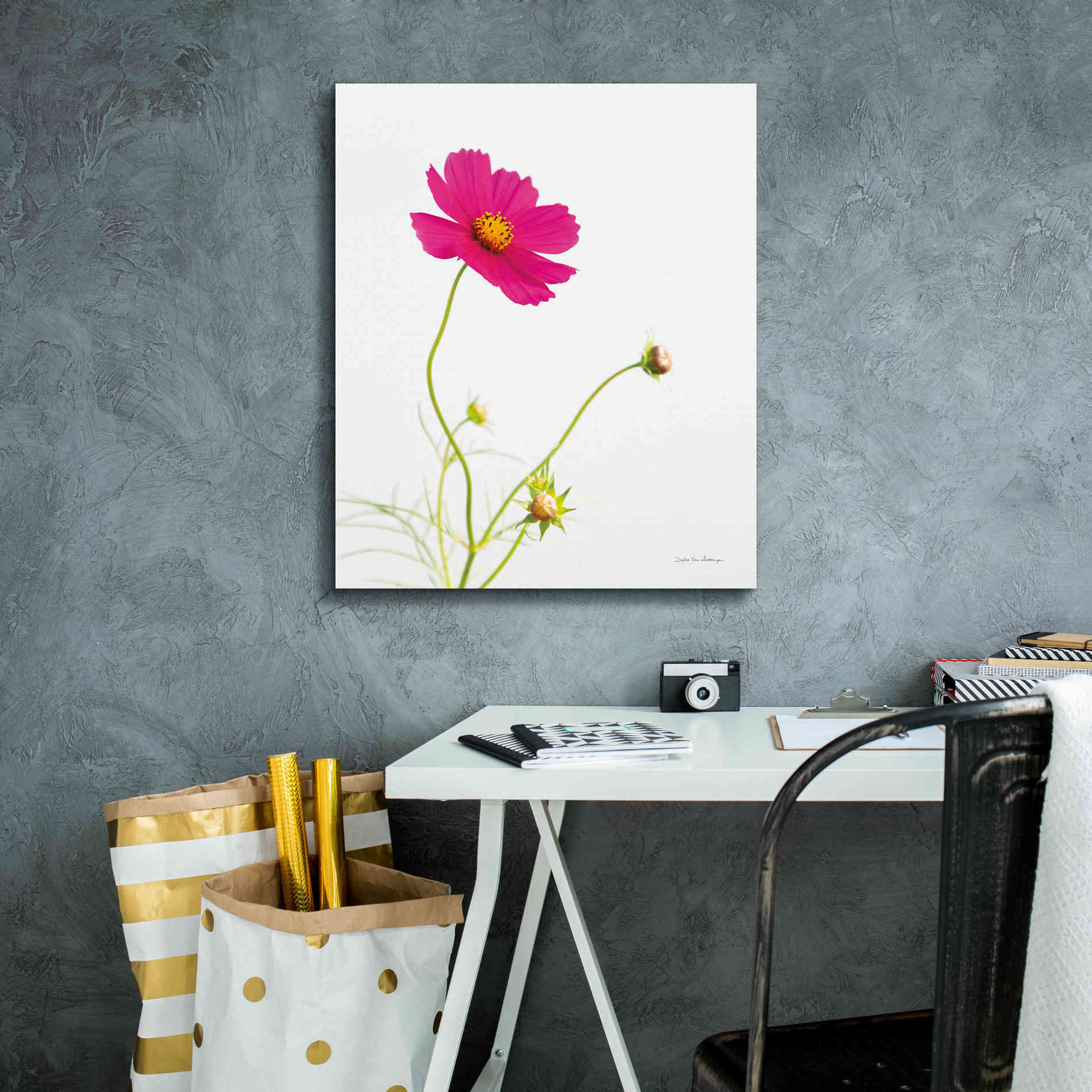 'Magenta Cosmos I' by Debra Van Swearingen, Canvas Wall Art,20 x 24