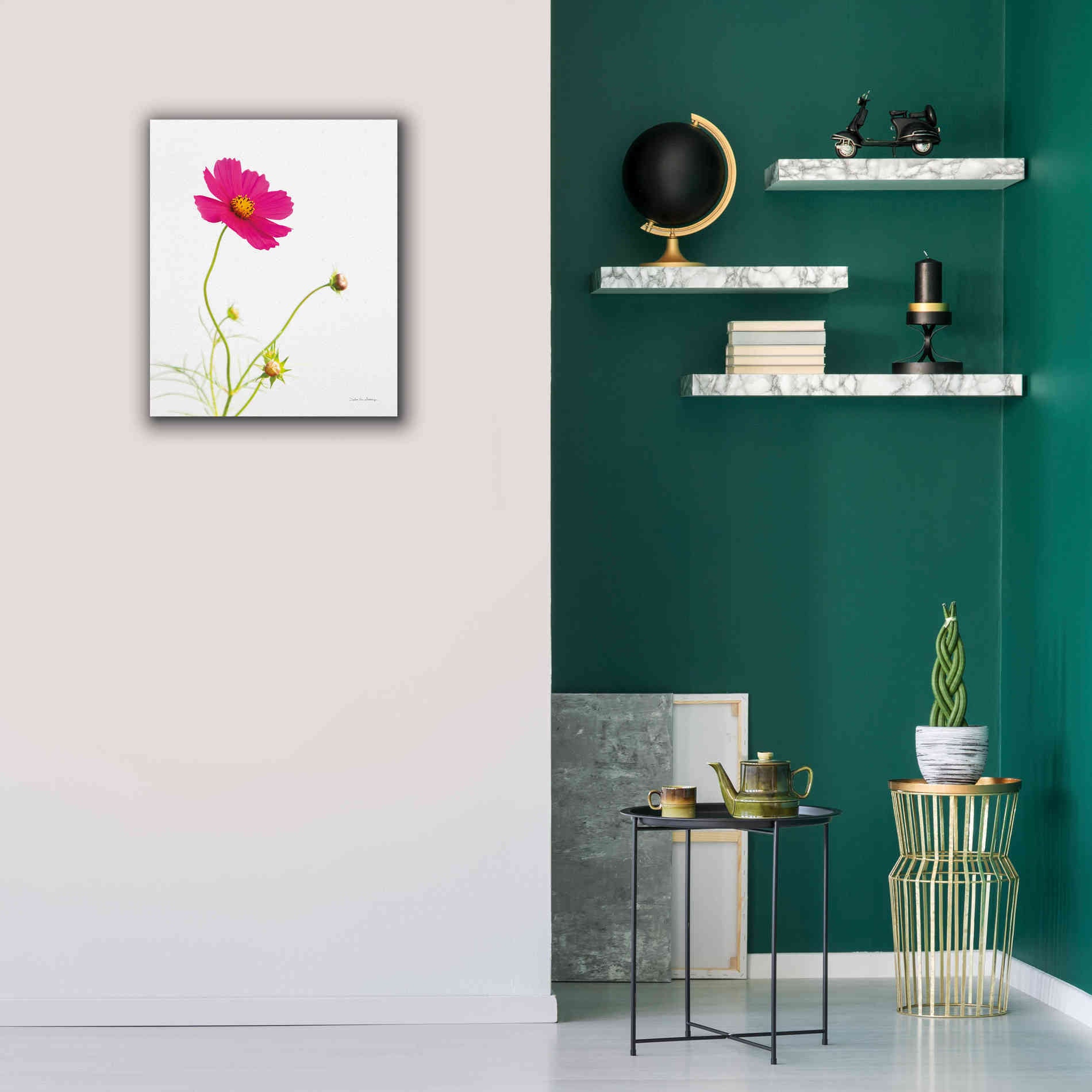 'Magenta Cosmos I' by Debra Van Swearingen, Canvas Wall Art,20 x 24